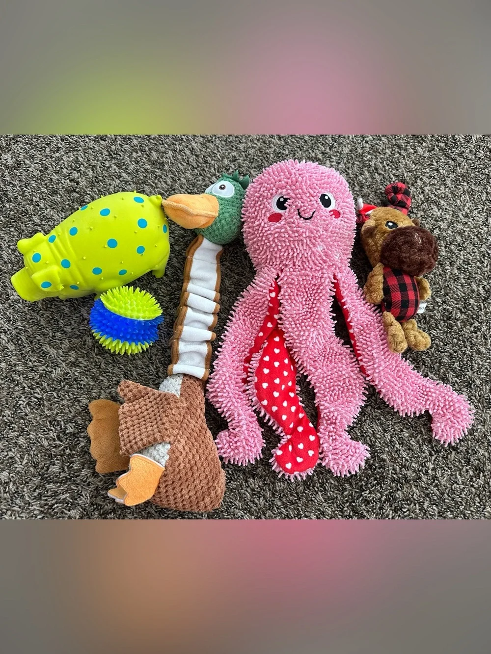 Collection of interactive DOG TOYS